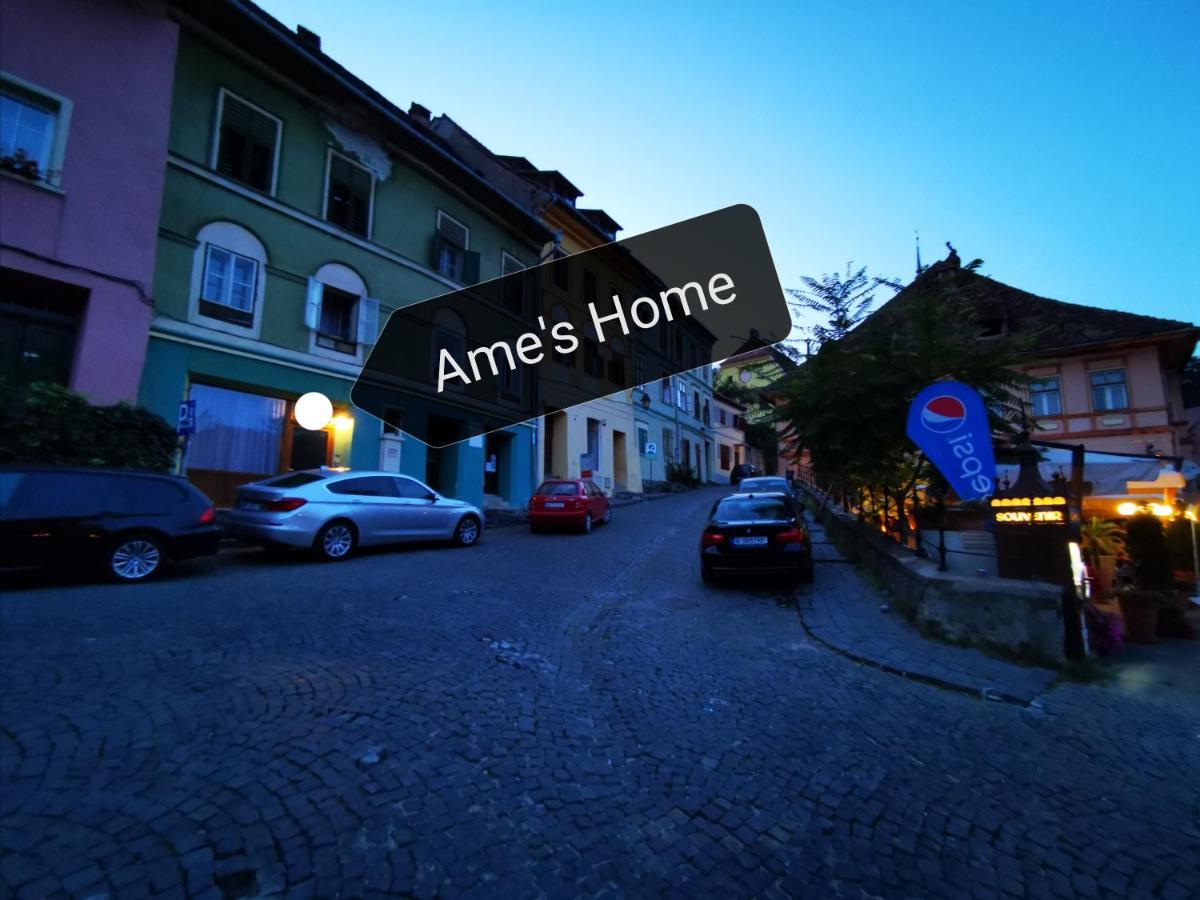 Ame'S Home Sighişoara Eksteriør billede